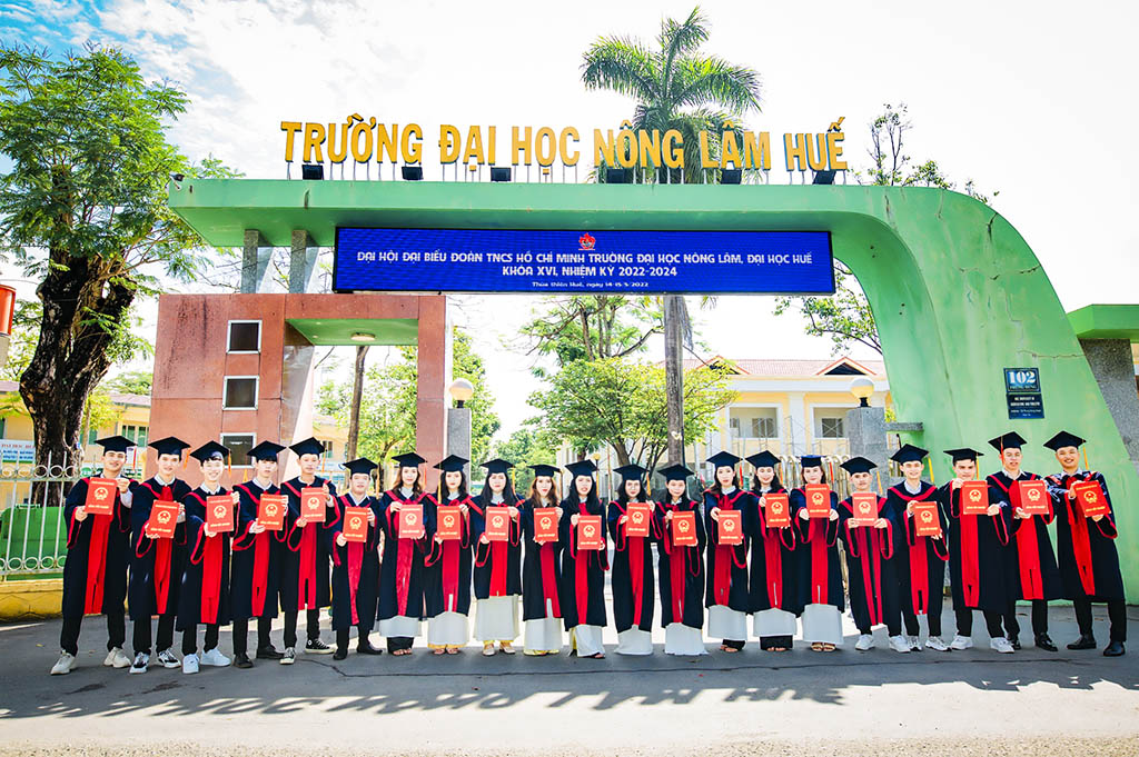 Experience Vietnam’s heritage with visa-prepared tours